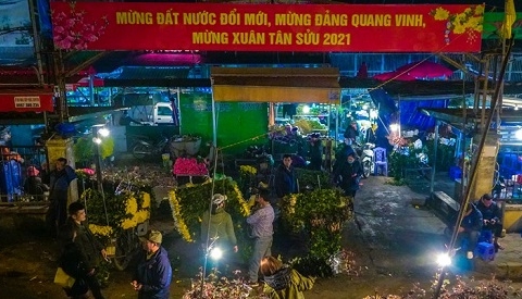 Người dân tấp nập mua sắm đào Tết tại chợ hoa Quảng An